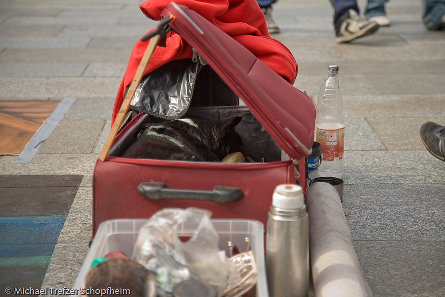 Dom 2008-56.JPG